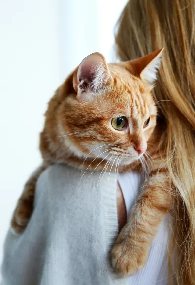 Woman holding a cat